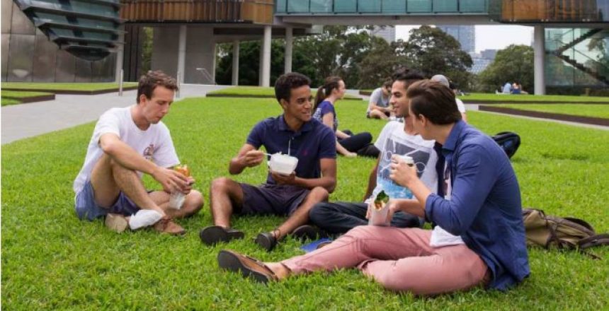 careervibeshub1209_1